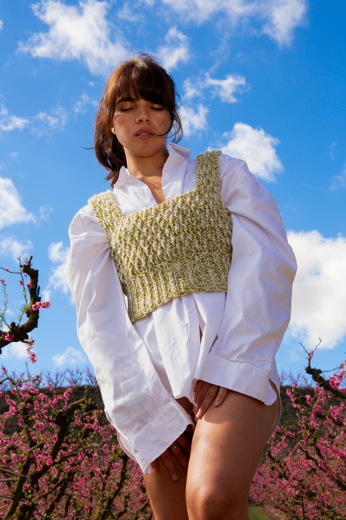 Herba - Image 2
