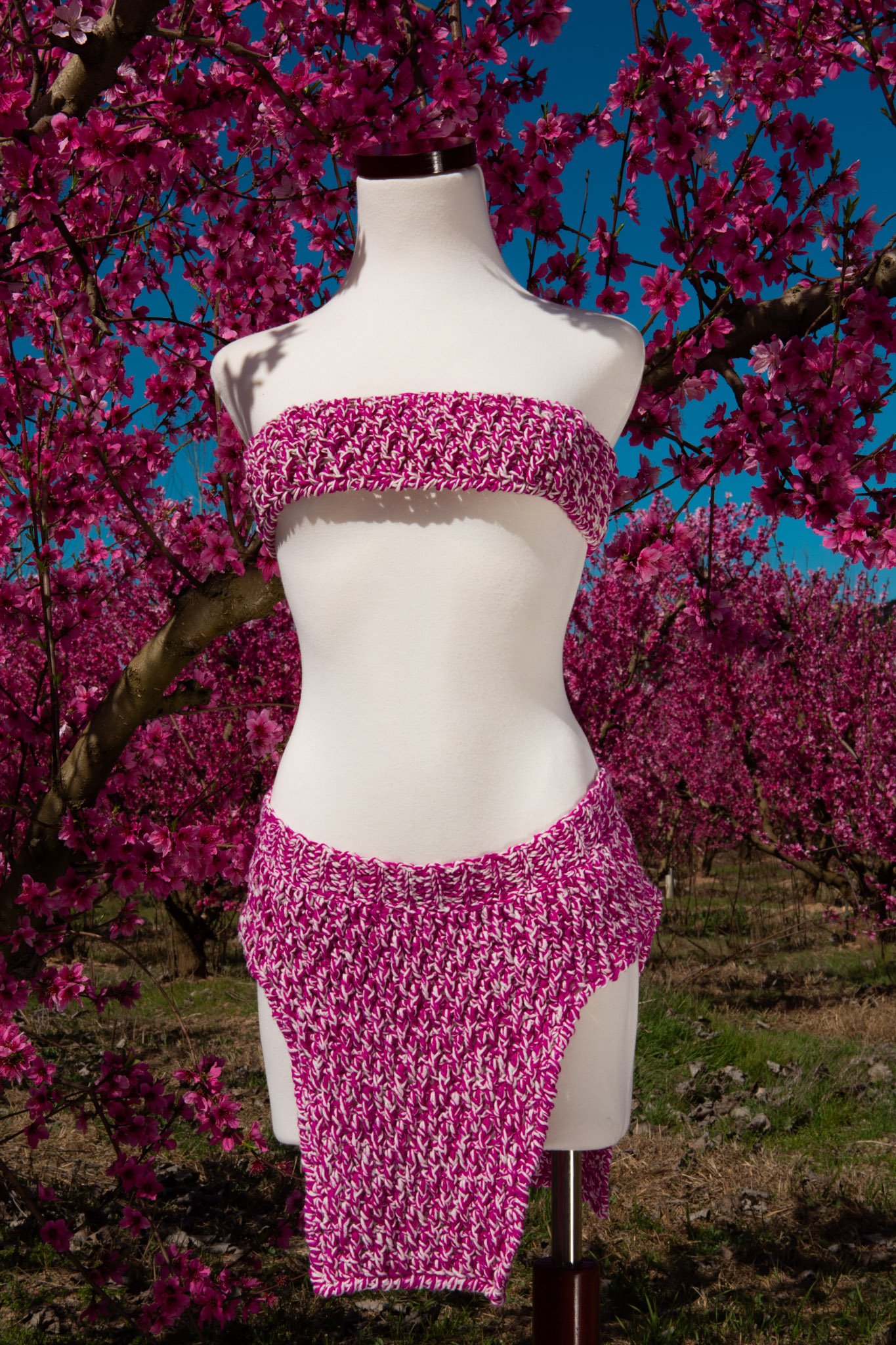 Floris - Image 6