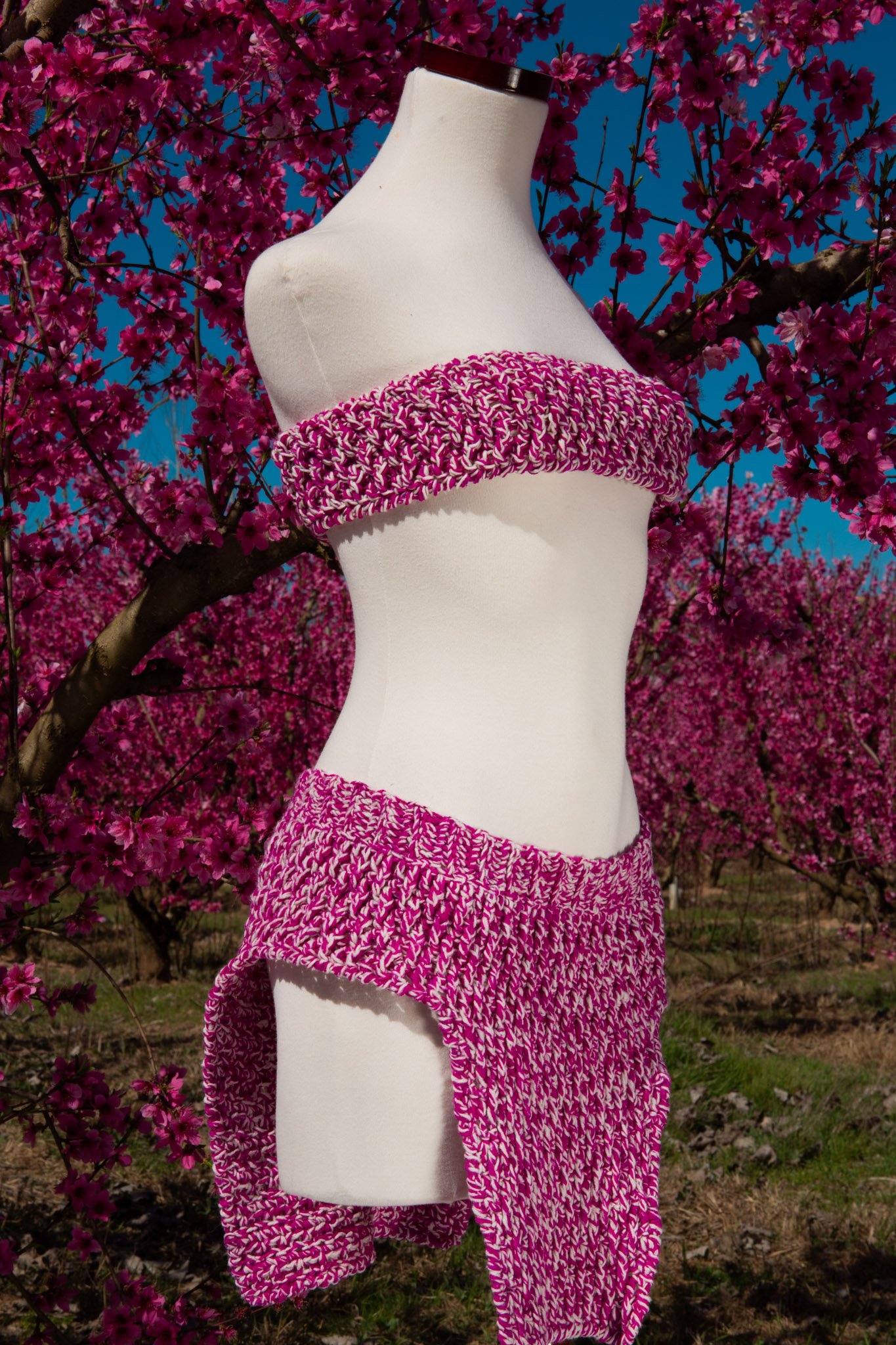 Floris - Image 7
