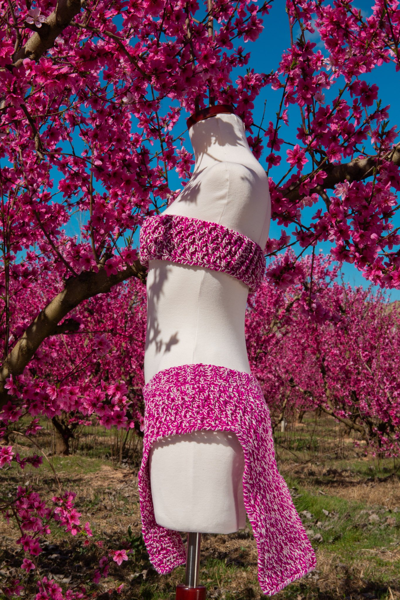 Floris - Image 8